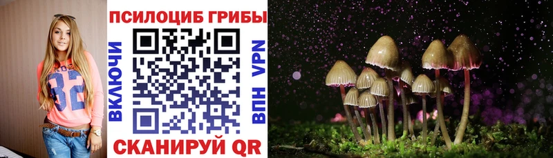 купить   kraken как зайти  это официальный сайт  Рославль  Псилоцибиновые грибы Psilocybe 